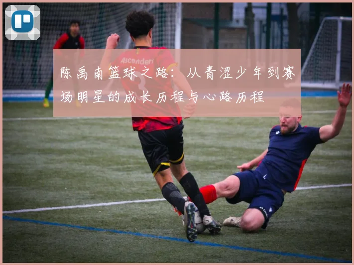 陈禹南篮球之路：从青涩少年到赛场明星的成长历程与心路历程