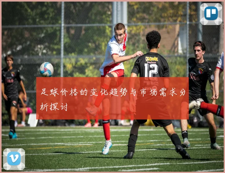 足球价格的变化趋势与市场需求分析探讨