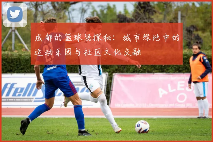 成都的篮球场探秘：城市绿地中的运动乐园与社区文化交融
